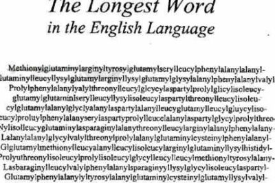 f09f94a4 longest wordefbc9ae88bb1e8aa9ee381a7e69c80e38282e995b7e38184e58d98e8aa9e
