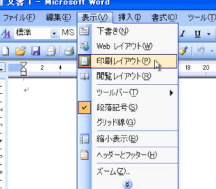 🖥️ Word 画面表示をカスタマイズ！作業しやすい環境に